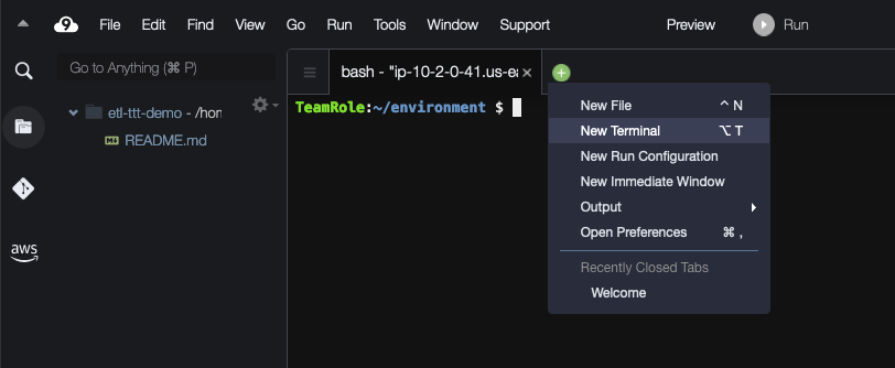 NEW TERMINAL